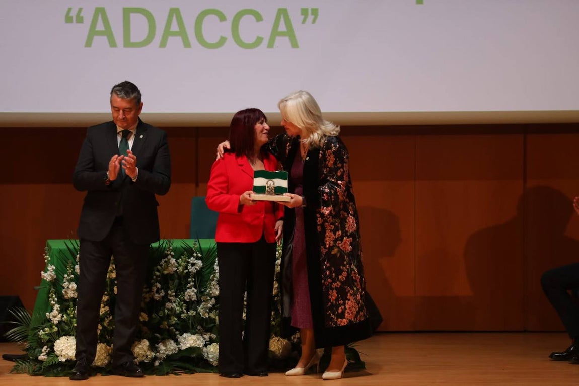 Fotos: Así ha sido la entrega de las Banderas de Andalucía 2024 en Cádiz