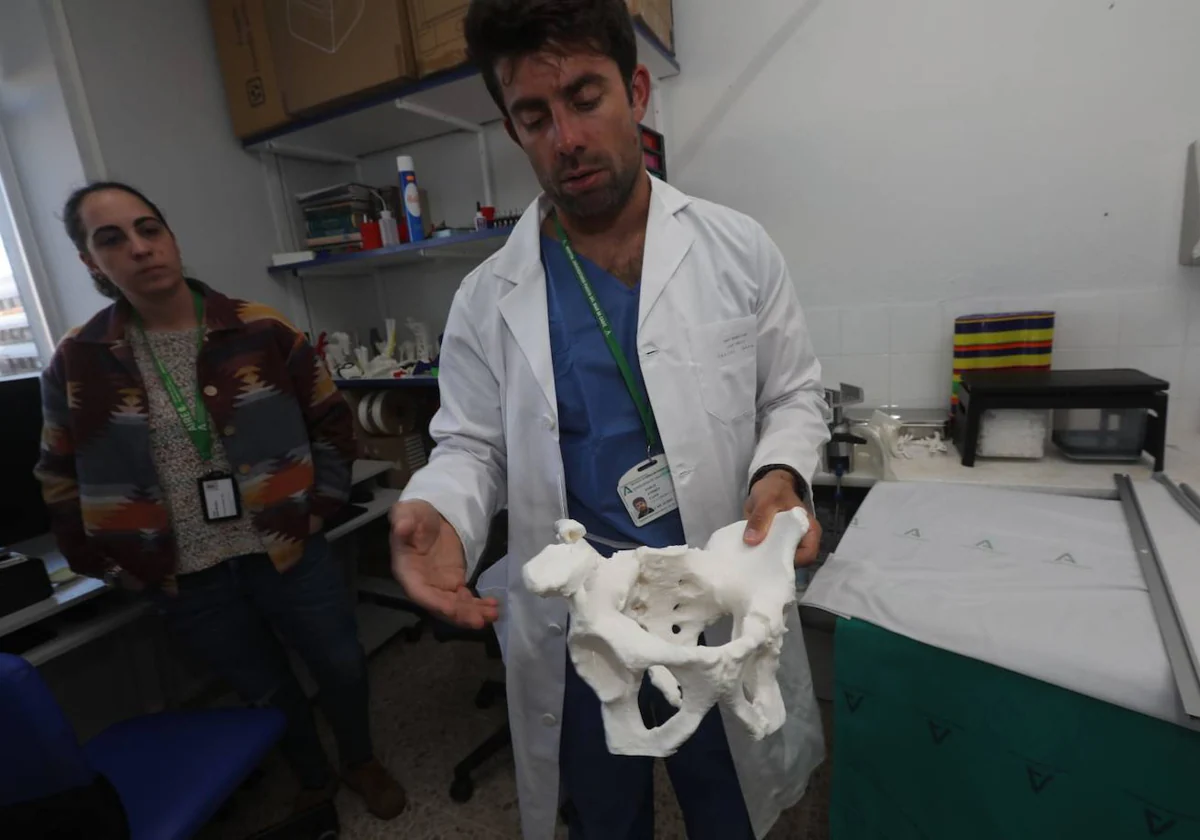 El doctor Pablo Andrés Cano y la ingeniera Laura Galán Romero muestran una réplica de una pelvis.