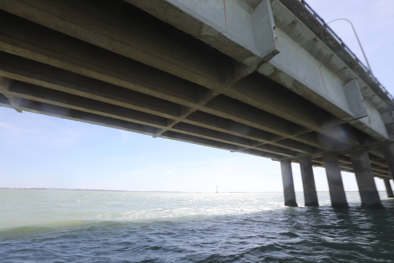 Fotos, debajo del Puente Carranza: así se ve el coloso bajo el mar