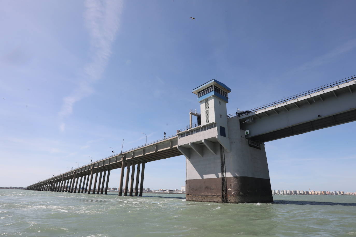 Fotos, debajo del Puente Carranza: así se ve el coloso bajo el mar