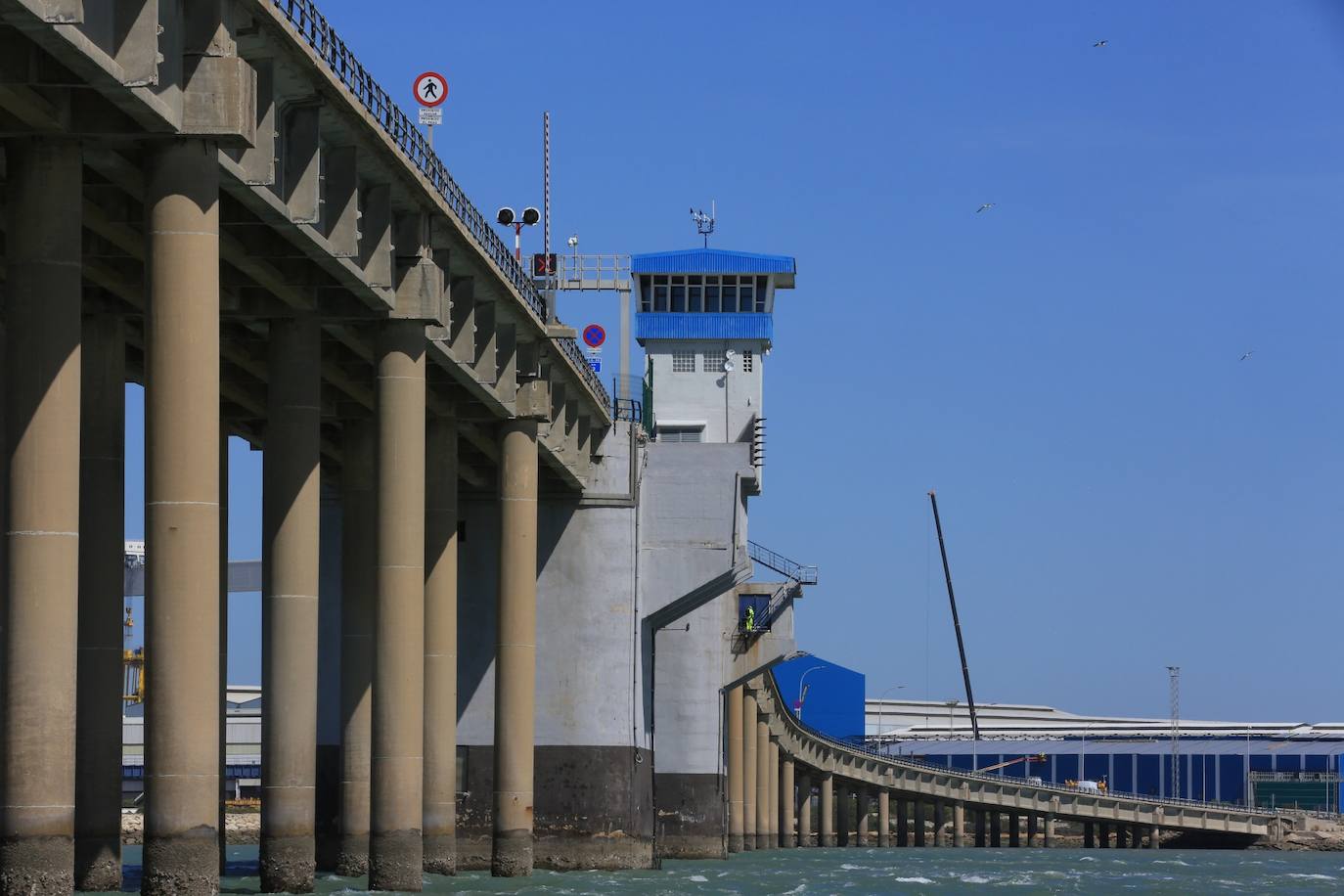 Fotos, debajo del Puente Carranza: así se ve el coloso bajo el mar