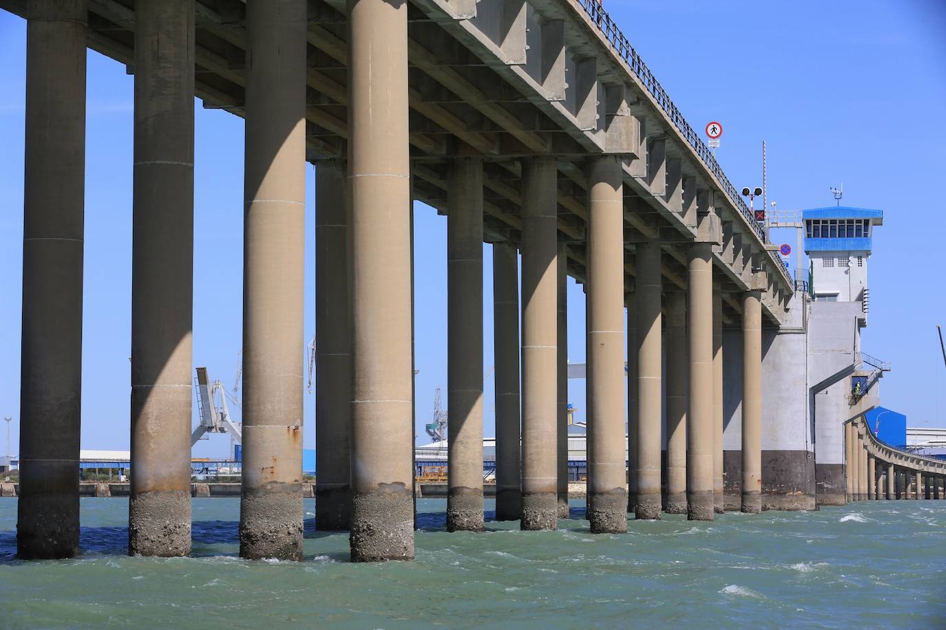 Fotos, debajo del Puente Carranza: así se ve el coloso bajo el mar
