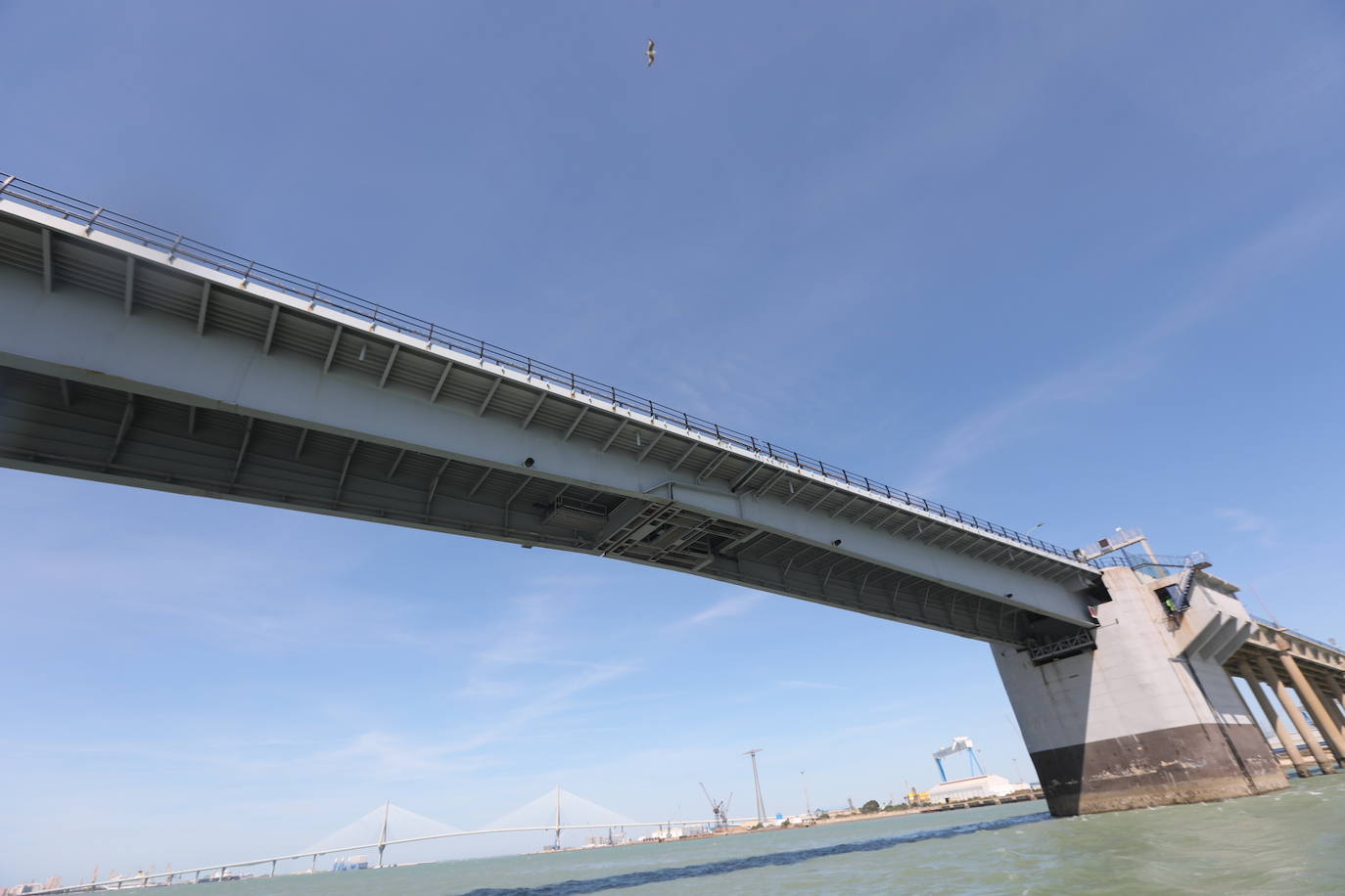 Fotos, debajo del Puente Carranza: así se ve el coloso bajo el mar