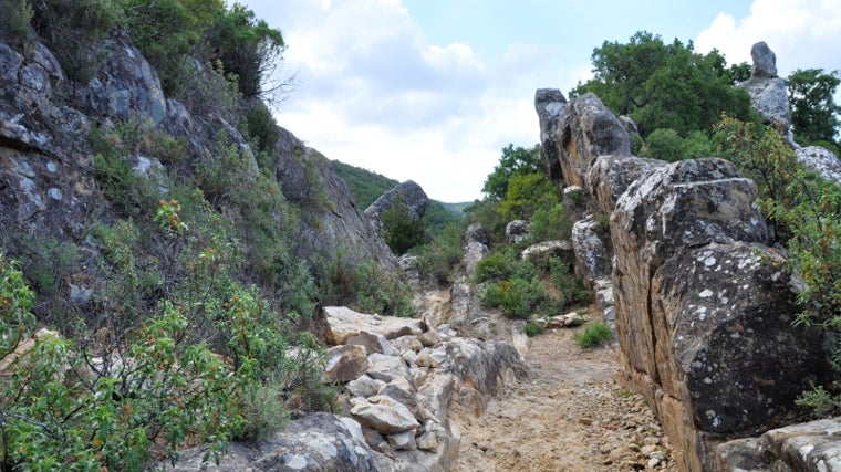 Sendero Los Molinos.