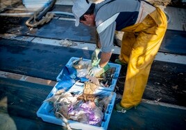 Cádiz limpia los mares de Andalucía: recuperan más de 5 toneladas de basura en 2023