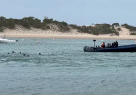 El piloto de una narcolancha y una marroquí de enlace, la trama que «mató» a los cinco inmigrantes tirándolos al agua en Cádiz