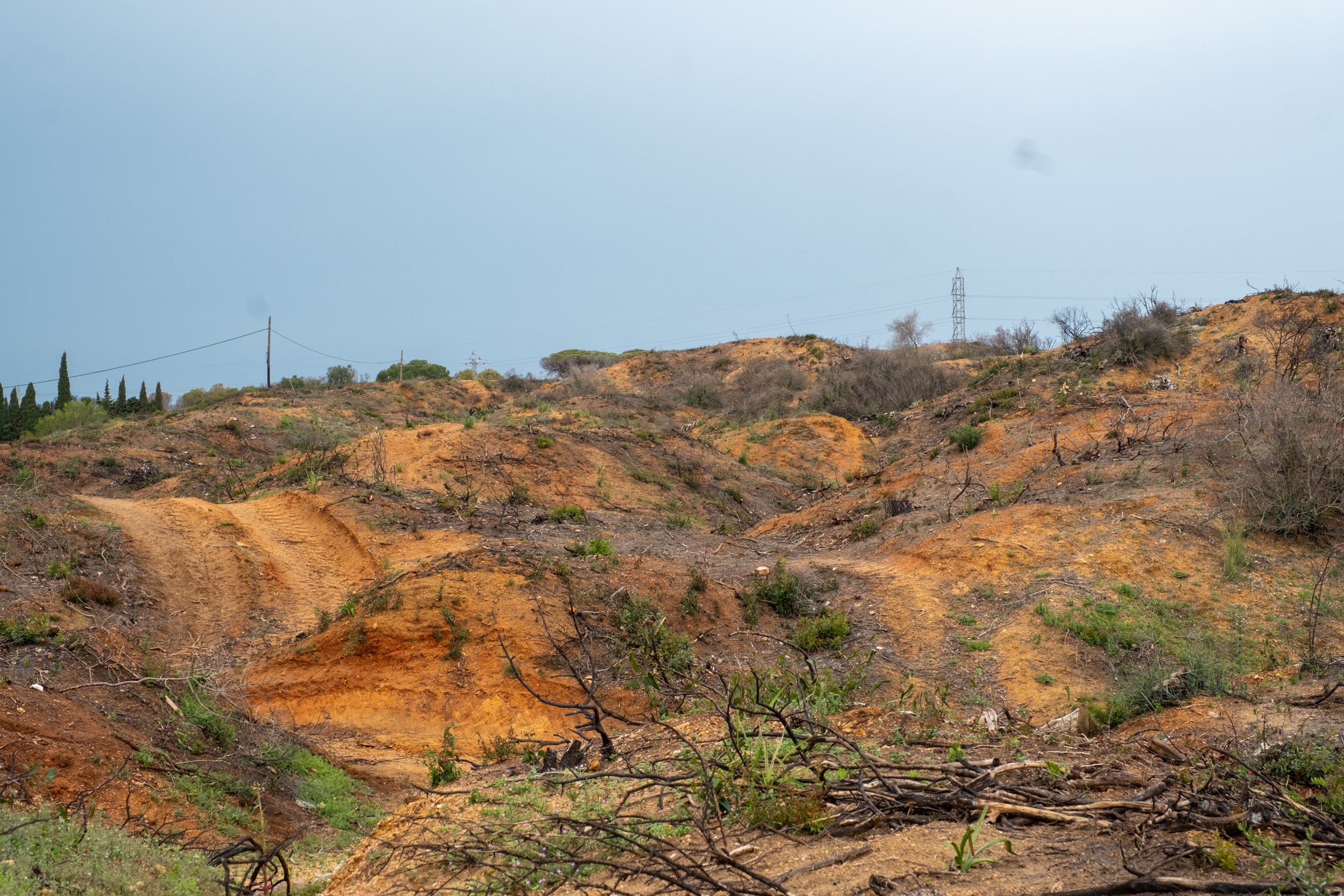 Fotos: Así está Las Canteras siete meses después del incendio