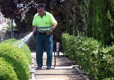 Se buscan jardineros sin experiencia en diversos municipios de Cádiz con sueldos de 1.350 euros