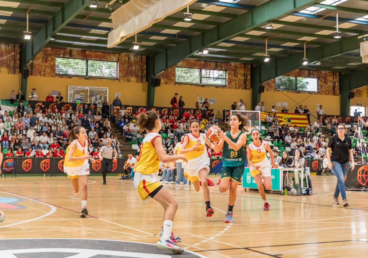 En la categoría femenina, Andalucía se proclamó campeona