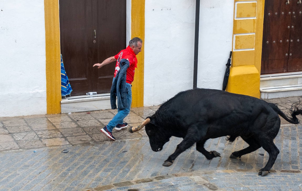 Fotos: Vejer celebra el Toro Embolao