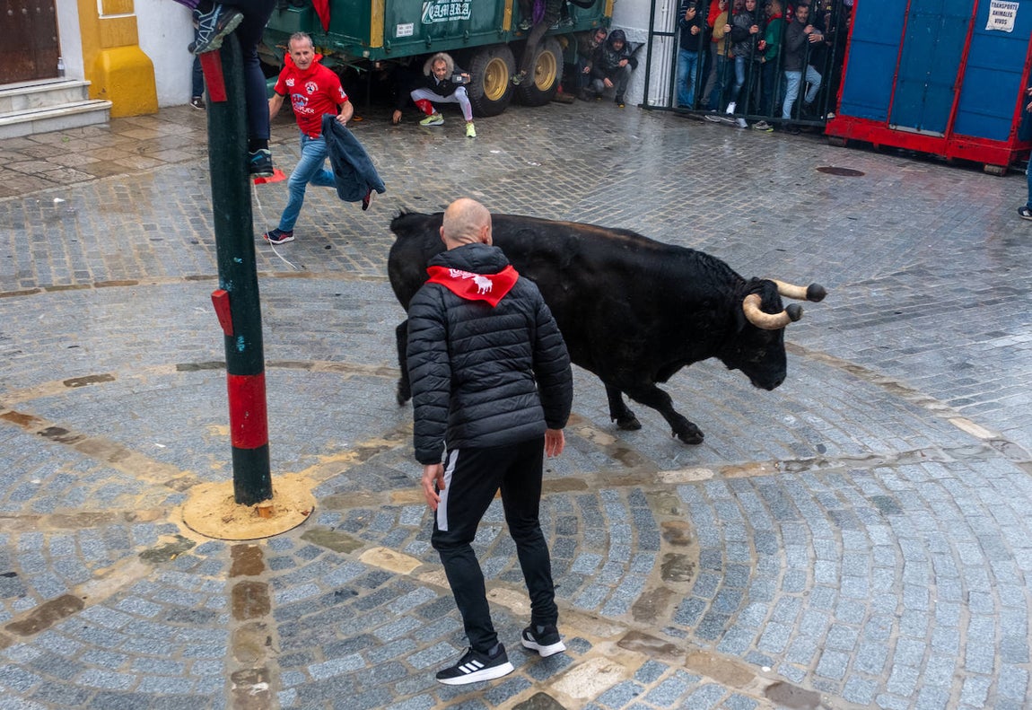 Fotos: Vejer celebra el Toro Embolao