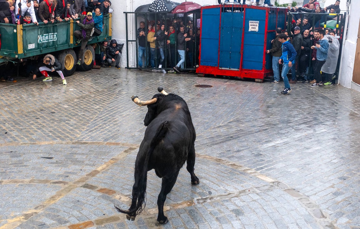 Fotos: Vejer celebra el Toro Embolao