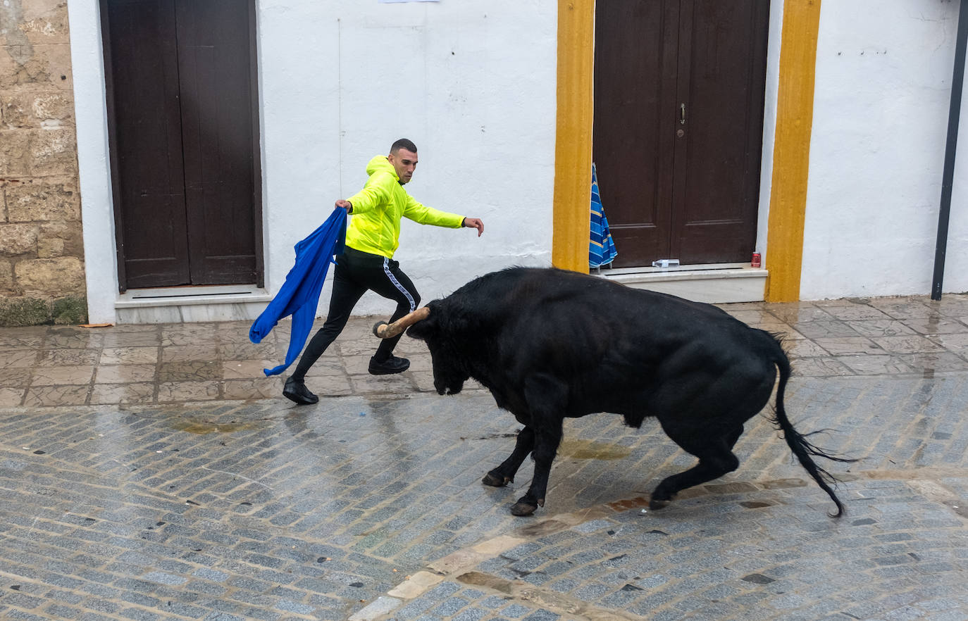 Fotos: Vejer celebra el Toro Embolao