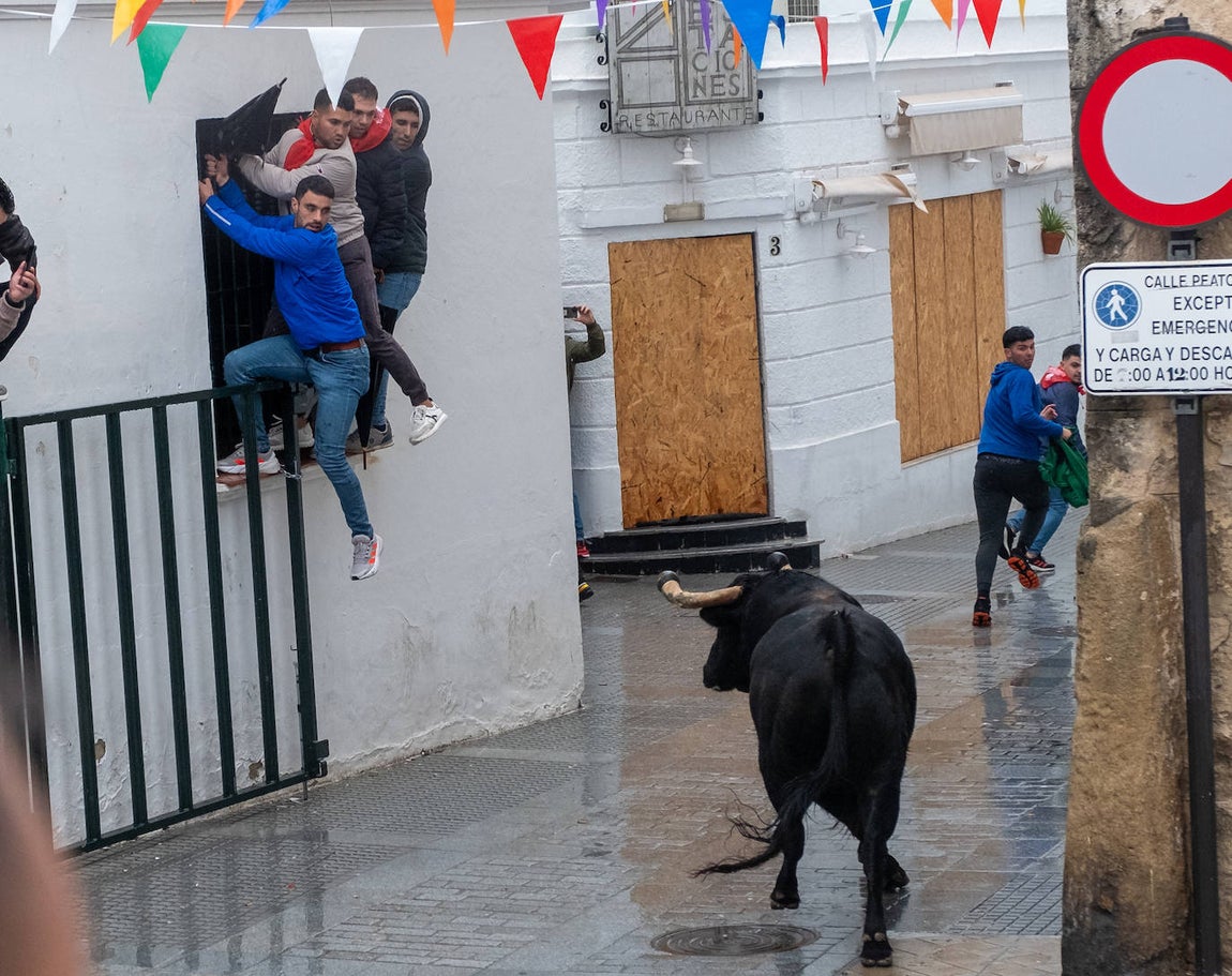 Fotos: Vejer celebra el Toro Embolao