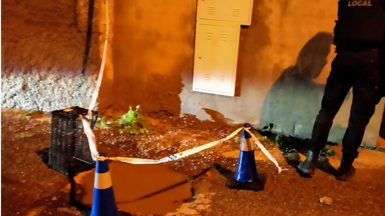 Denuncian la muerte de una perra electrocutada por pisar una arqueta en Sanlúcar