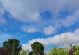 El parque de Los Llanos de Madrid llevará el nombre de los guardias civiles asesinados en Barbate