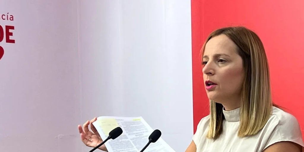 Ana Carrera: «Lo que nos pide la presidenta de la Diputación con la