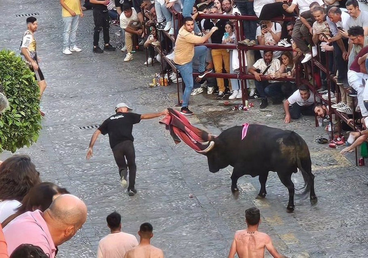 Festividad del Toro del Aleluya de Arcos de la Frontera