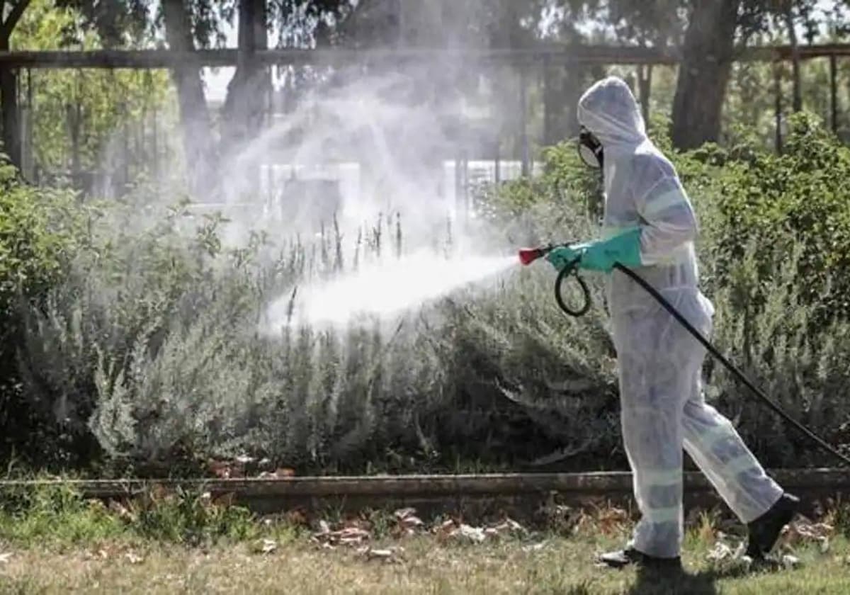 Fumigación en parques y jardines contra las larvas de mosquitos
