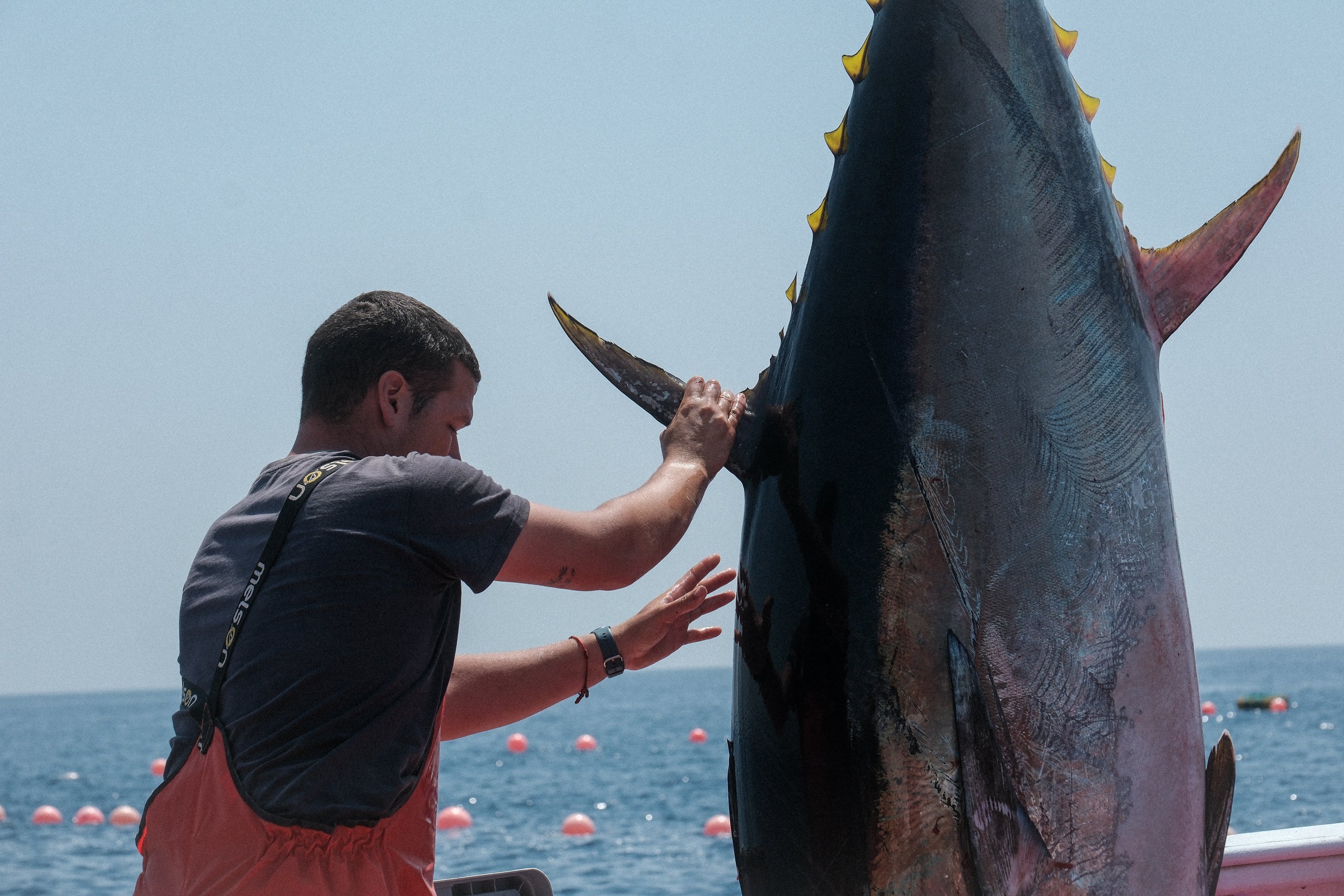 Fotos: Las imágenes de la &#039;levantá&#039; de Petaca Chico en Barbate