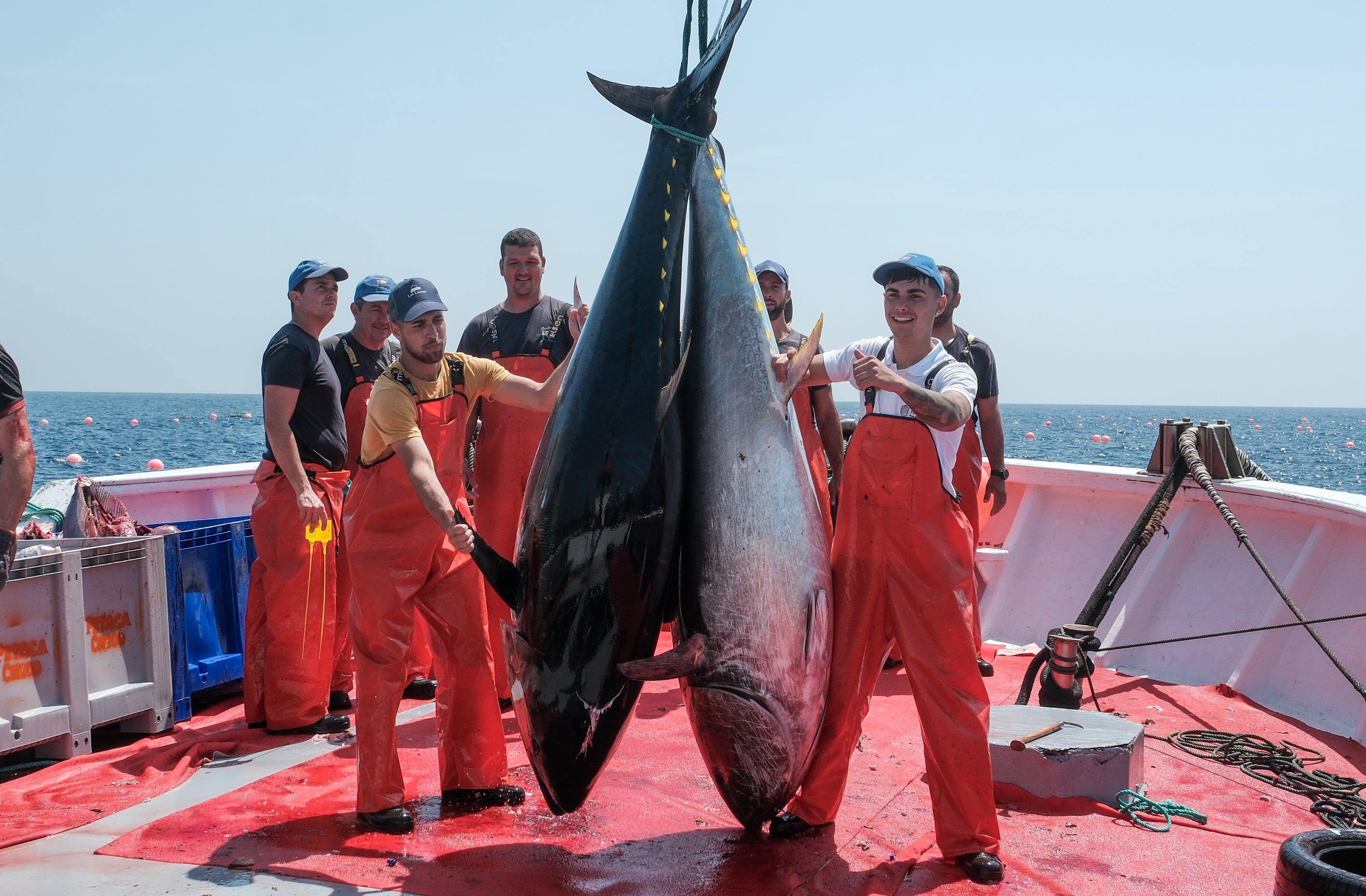 Fotos: Las imágenes de la &#039;levantá&#039; de Petaca Chico en Barbate