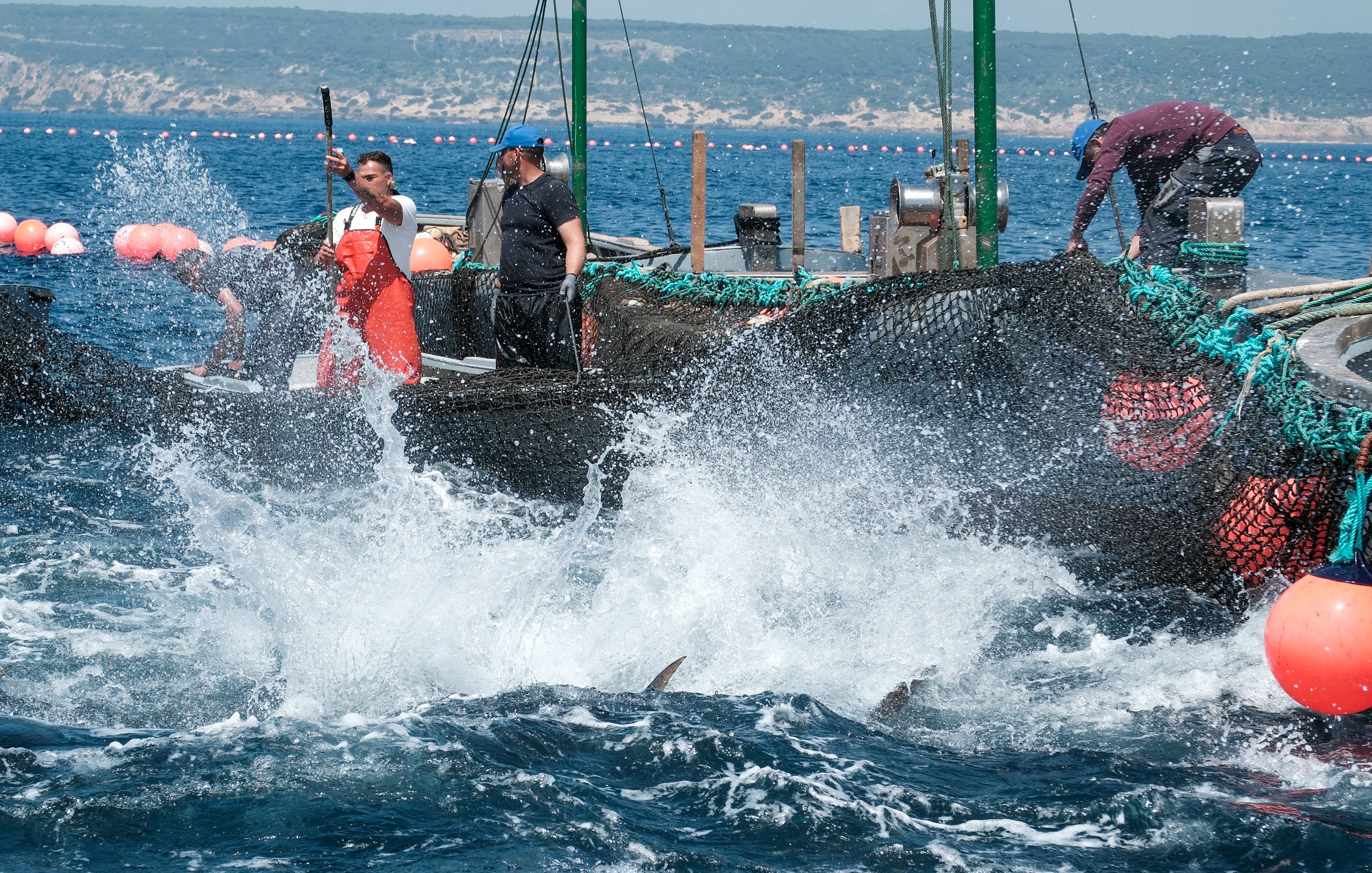 Fotos: Las imágenes de la &#039;levantá&#039; de Petaca Chico en Barbate