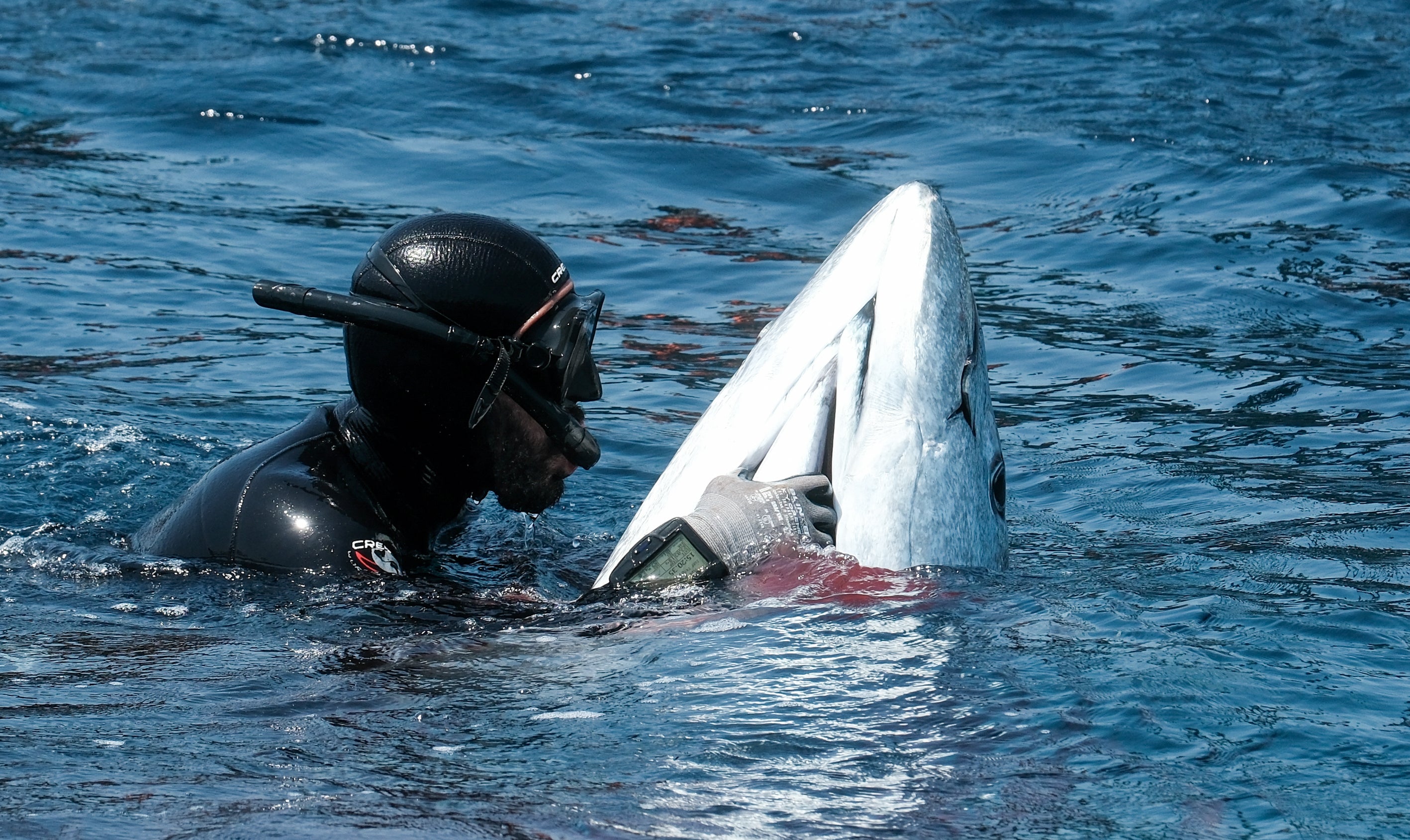 Fotos: Las imágenes de la &#039;levantá&#039; de Petaca Chico en Barbate