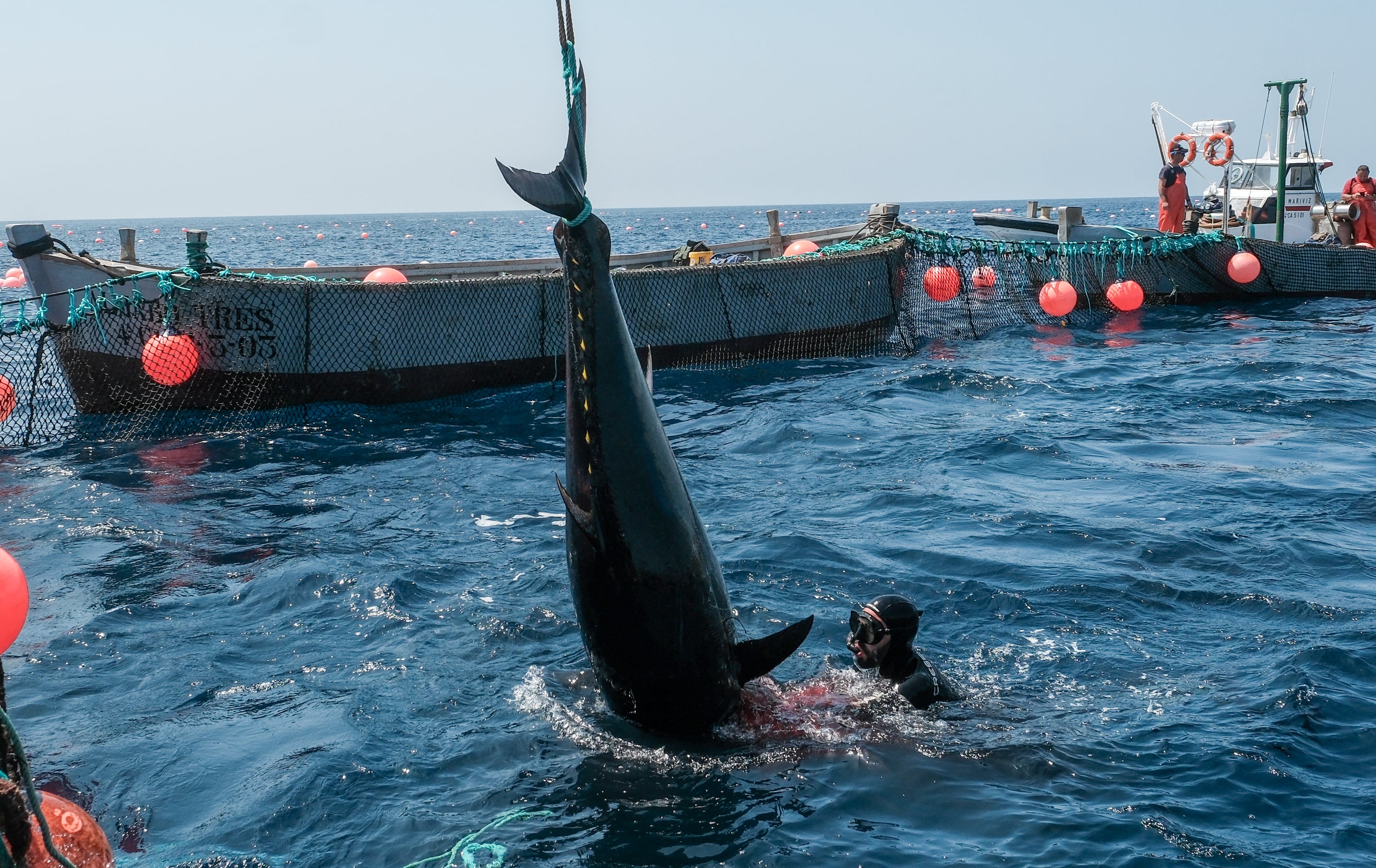 Fotos: Las imágenes de la &#039;levantá&#039; de Petaca Chico en Barbate