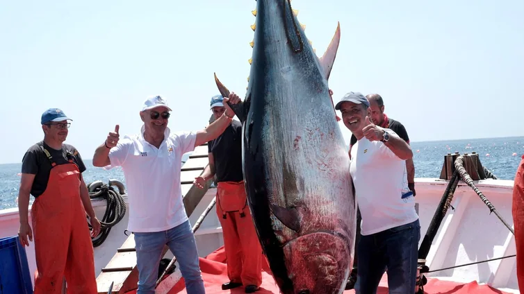 Primera 'levantá' de atunes de Petaca Chico en Barbate