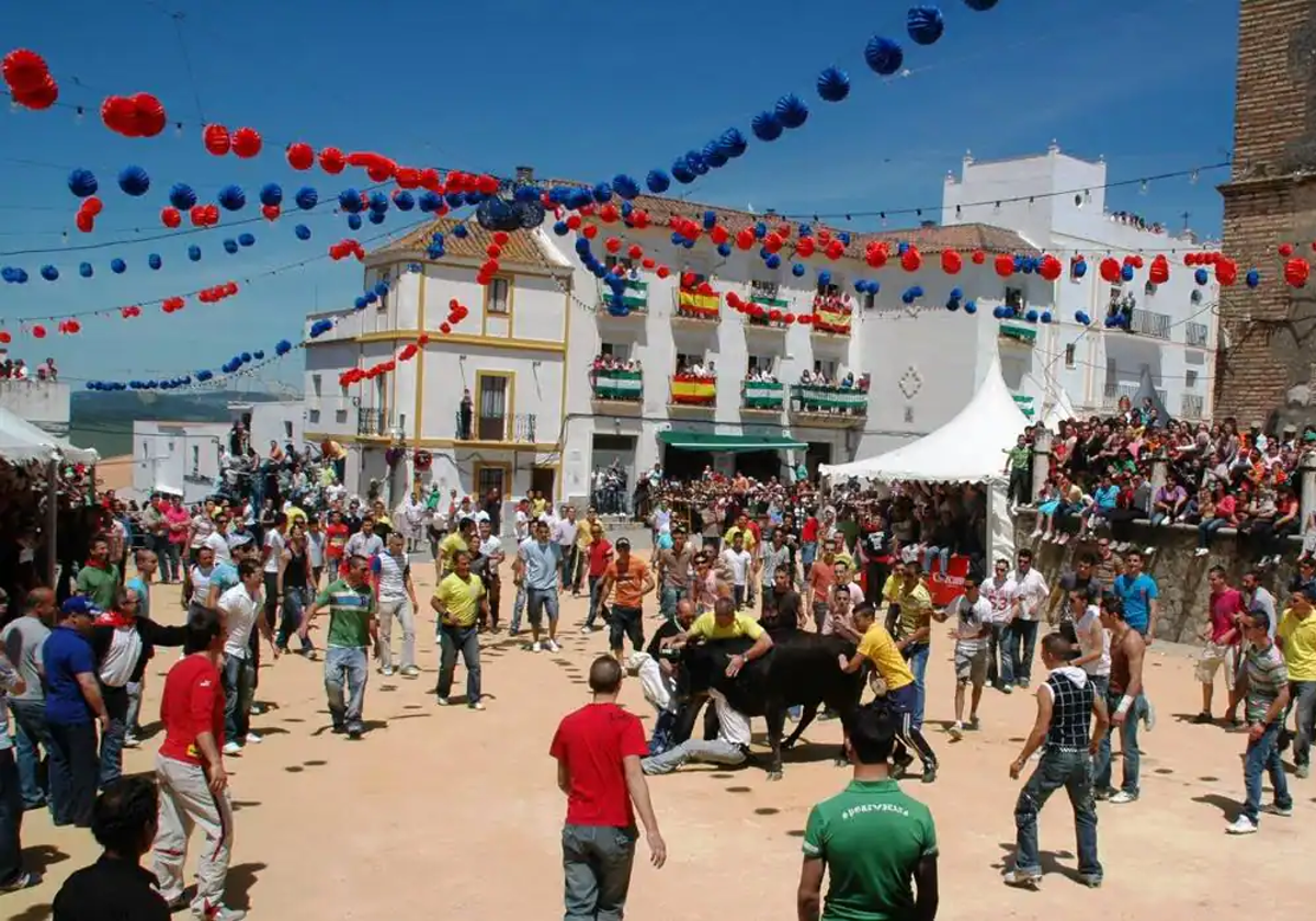 Suelta de vaquillas en la Plaza Alta