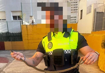 Dos serpientes de más de un metro de largo causan la alarma en Algeciras