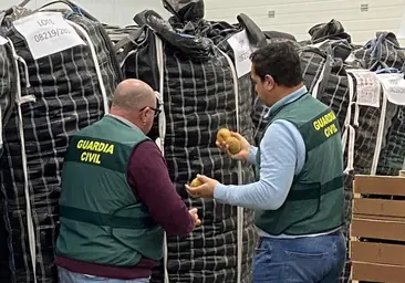 Desmontan en Cádiz una trama empresarial que vendía patatas exportadas desde Egipto con denominación de origen nacional
