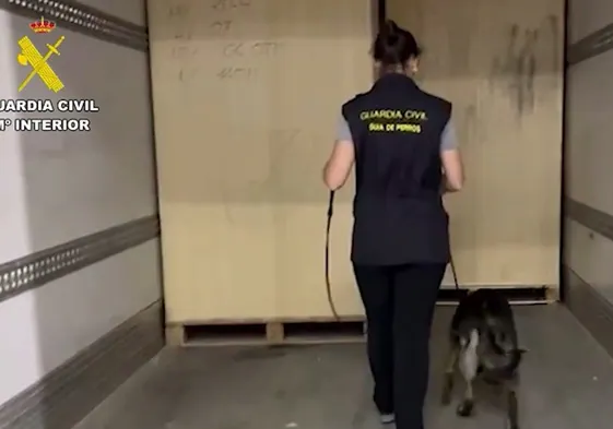La guía de perros realiza la inspección con el animal.