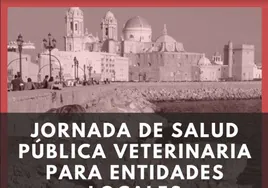 Celebrada la «Jornada de Salud Pública Veterinaria para Entidades Locales»