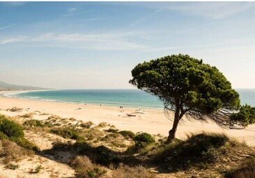 Las 30 mejores playas de Cádiz según la revista Traveler