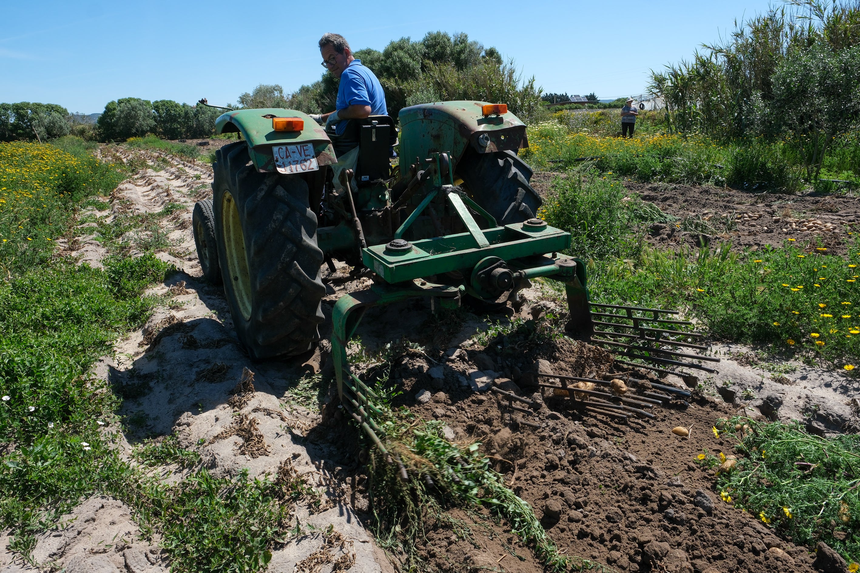 Fotos: Imágenes de una jornada de trabajo junto a los agricultores en El Palmar