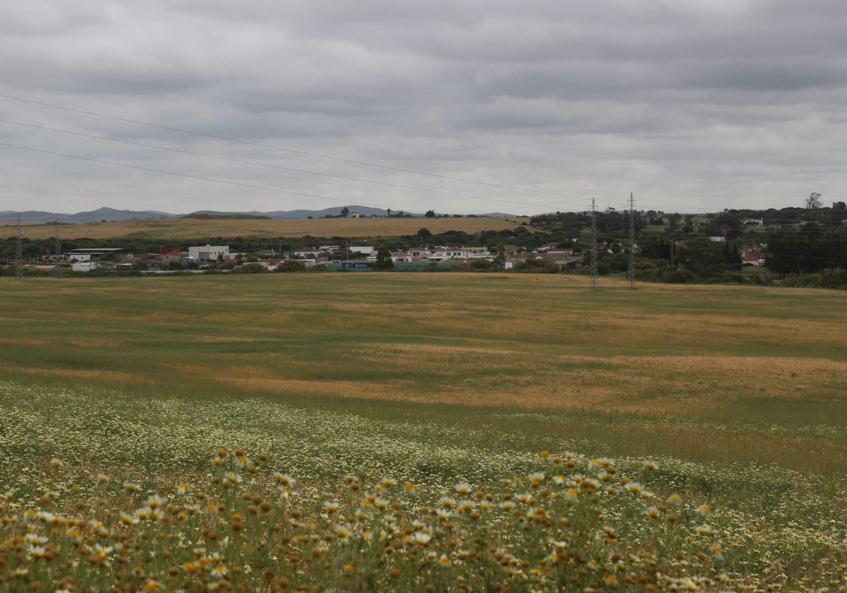 Chiclana proyecta un nuevo parque fluvial