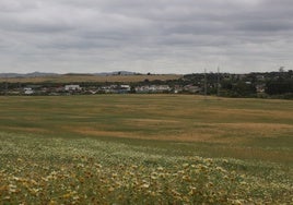 Chiclana proyecta un nuevo parque fluvial