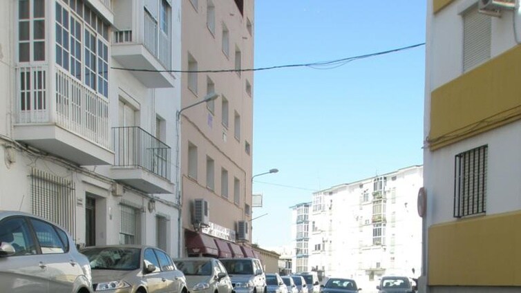 Cádiz quintuplica la campaña anual de desinsectación