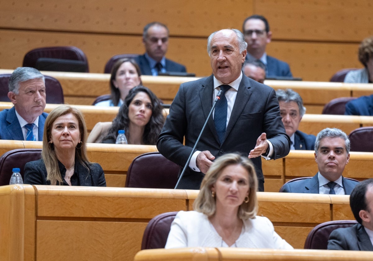 Landaluce exige en el Senado a Exteriores que en la reunión con los alcaldes del Campo de Gibraltar «podamos conocer el acuerdo, aportar, y ser oídos»