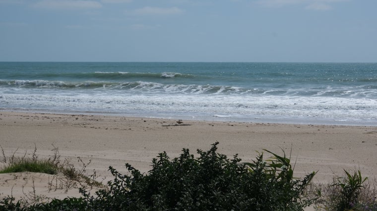 Las playas de Cádiz que no deberían tener Bandera Azul, según los ecologistas