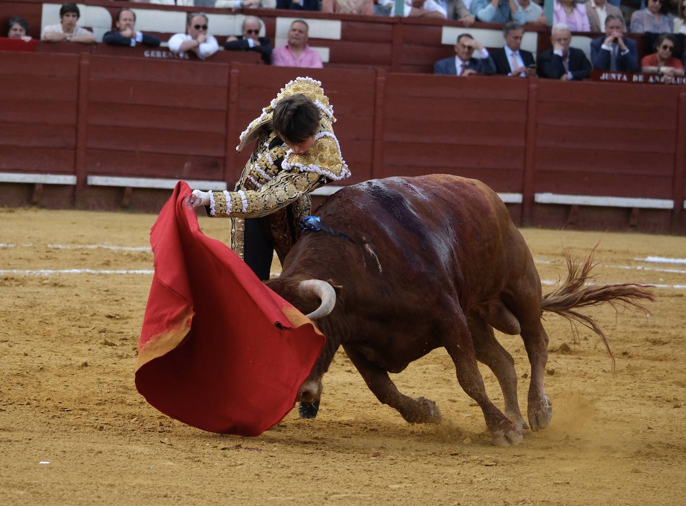 Fotos: Alejandro Talavante, Roca Rey y Pablo Aguado en la Feria de Jerez