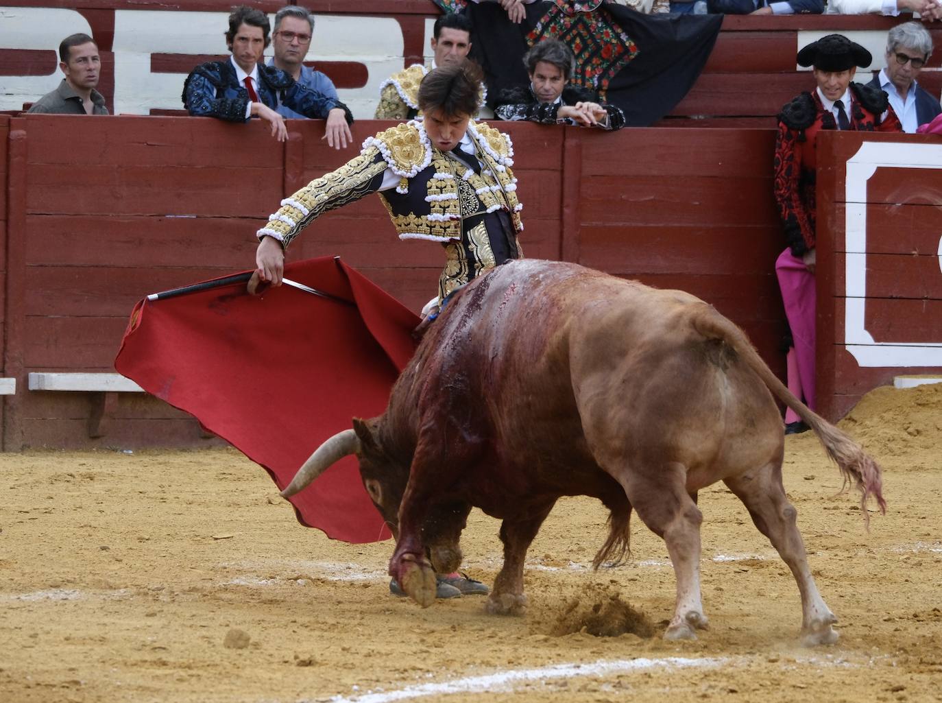 Fotos: Alejandro Talavante, Roca Rey y Pablo Aguado en la Feria de Jerez