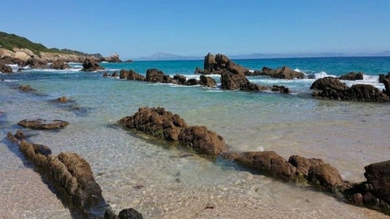 Piscina natural de Bolonia.