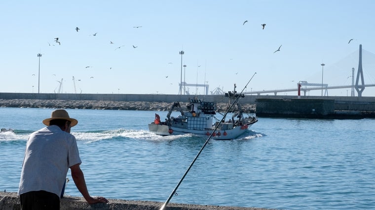 Situación «catastrófica» para el sector pesquero gaditano