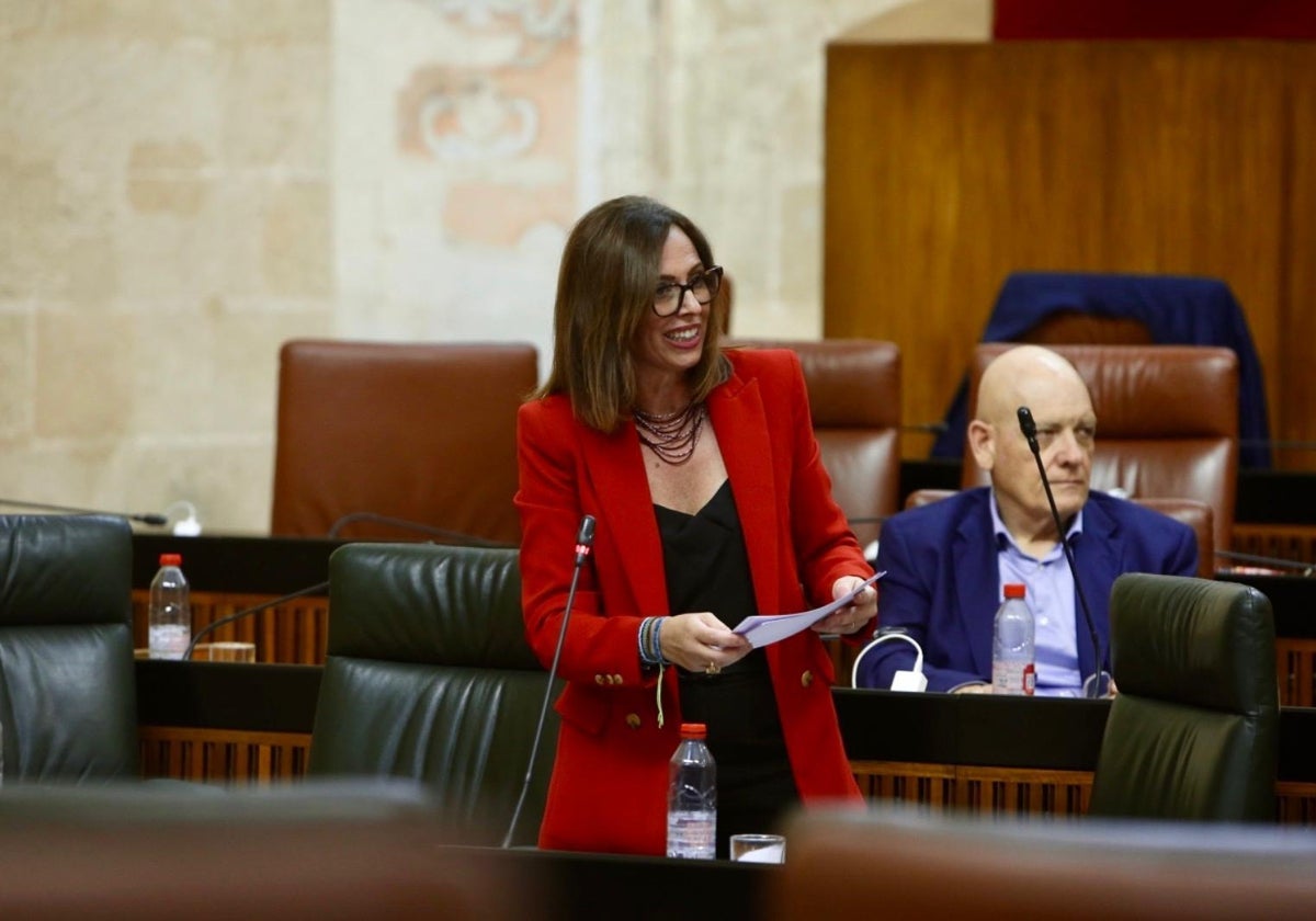 La consejera Rocío Díaz en el PLeno