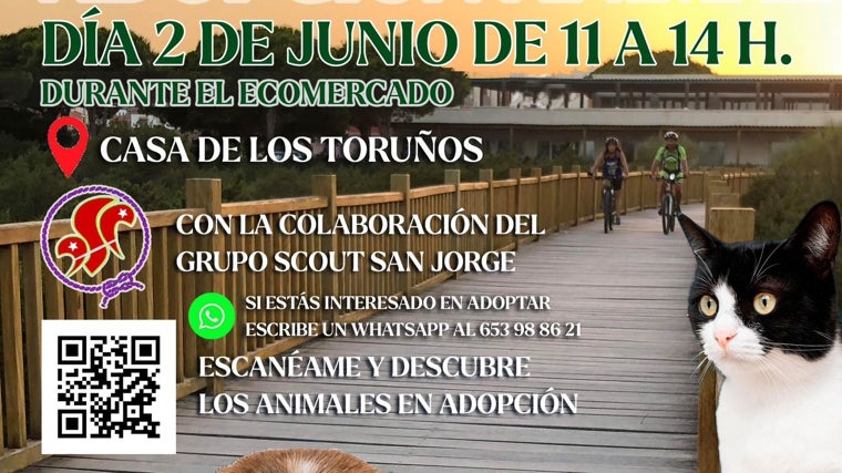 Jornada de adopción de animales en la casa de Los Toruños