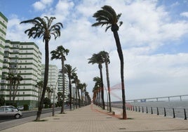 Activada la alerta amarilla  por viento de levante en Cádiz