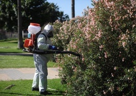 Salud vigila varios pueblos de Cádiz por el virus del Nilo y pone el foco en una de sus comarcas