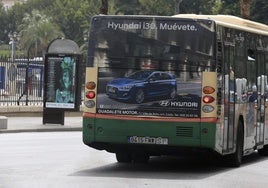 El Ayuntamiento de Cádiz saca a licitación las obras para mejorar la accesibilidad en las paradas de autobuses de la avenida principal